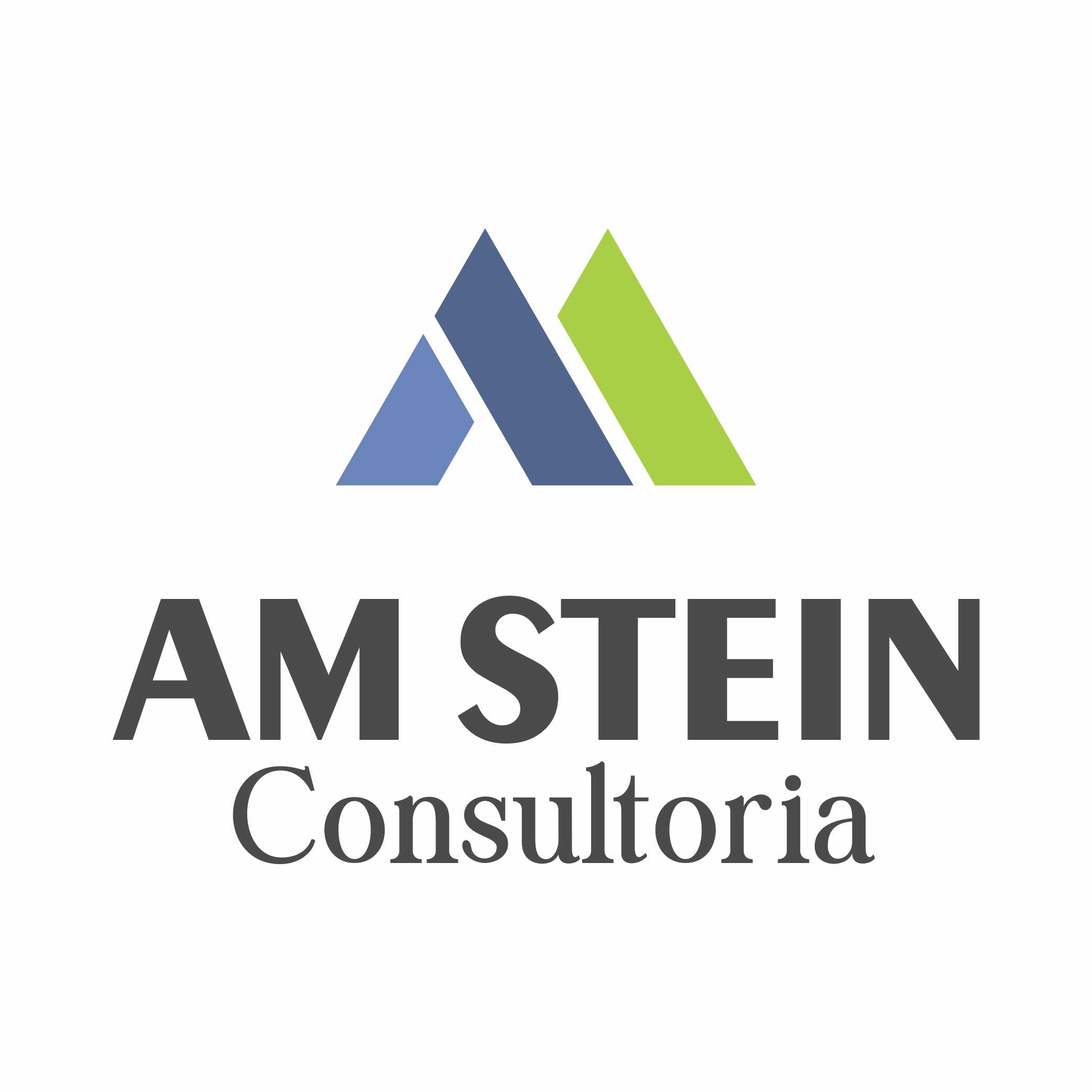 AM Stein Consultoria